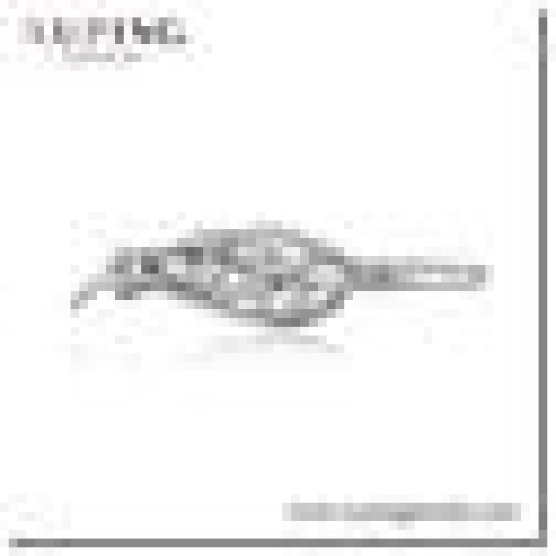 Matu sprādze ar rodija pārklājumu