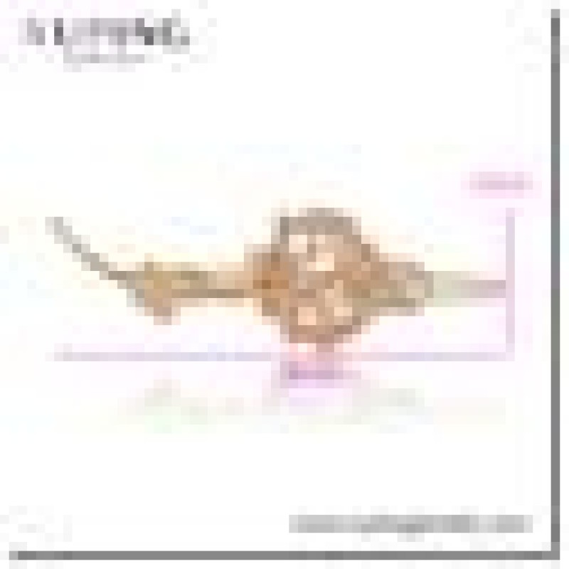 Matu sprādze apzeltīta