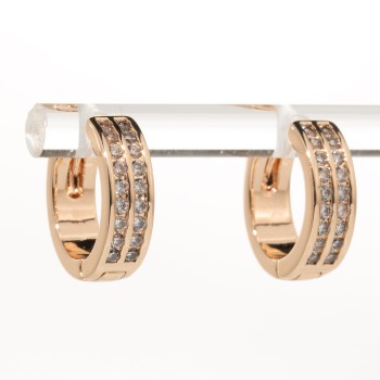 Apzeltīti auskari (riņķi)