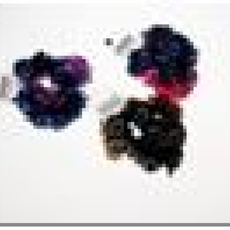 Matu gumijas REGINA ar puķēm (2gab.) (3 veidi)