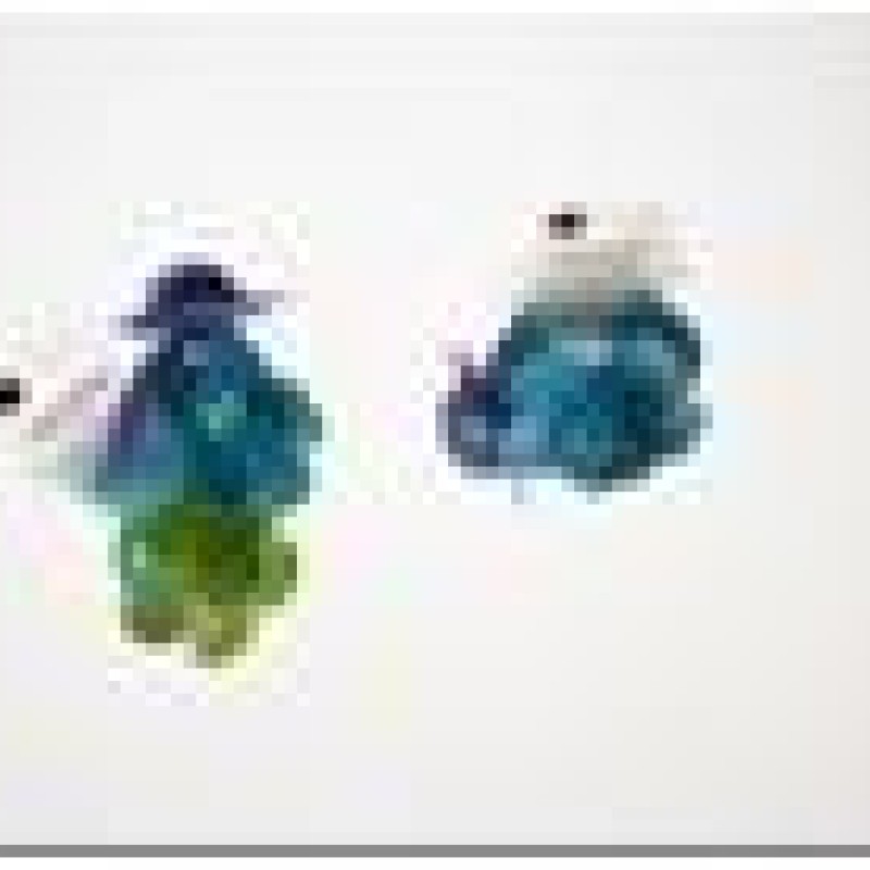 Matu gumijas REGINA ar puķēm (3gab.)