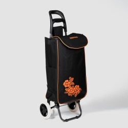 Iepirkumu soma ar 2 riteņiem