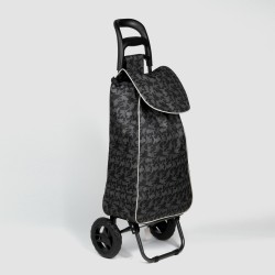 Iepirkumu soma ar 2 riteņiem