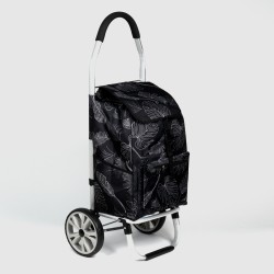 Iepirkumu soma ar 2 riteņiem