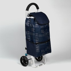 Iepirkumu soma ar 2 riteņiem