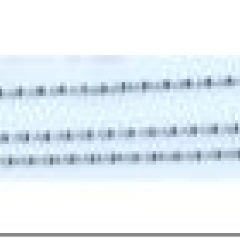 Ķēdīte ar rodija pārklājumu