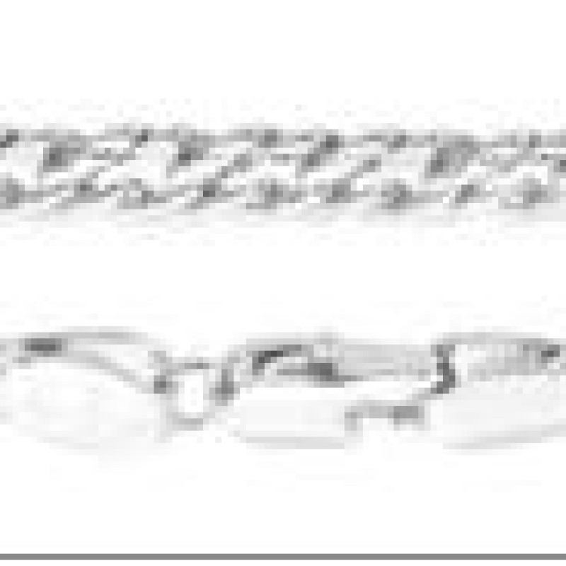 Ķēdīte ar rodija pārklājumu