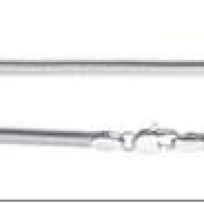 Ķēdīte ar rodija pārklājumu Plakanu čūskas skeleta posmu virkne