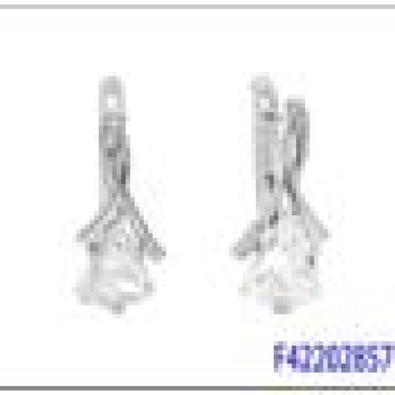 Auskari ar rodija pārklājumu