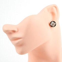 Nerūsējošā tērauda apzeltīti auskari