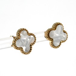 Nerūsējošā tērauda apzeltīti auskari