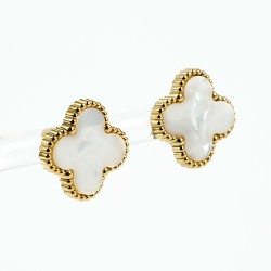 Nerūsējošā tērauda apzeltīti auskari