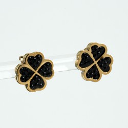 Nerūsējošā tērauda apzeltīti auskari