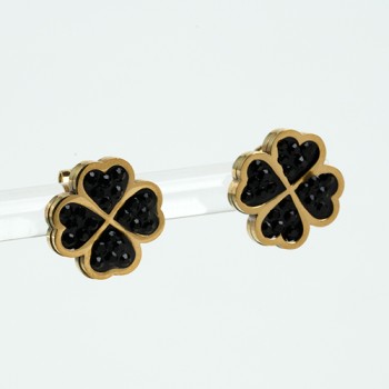 Nerūsējošā tērauda apzeltīti auskari