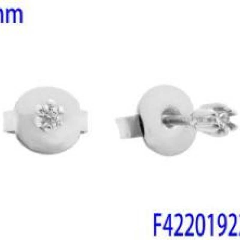 Auskari ar rodija pārklājumu