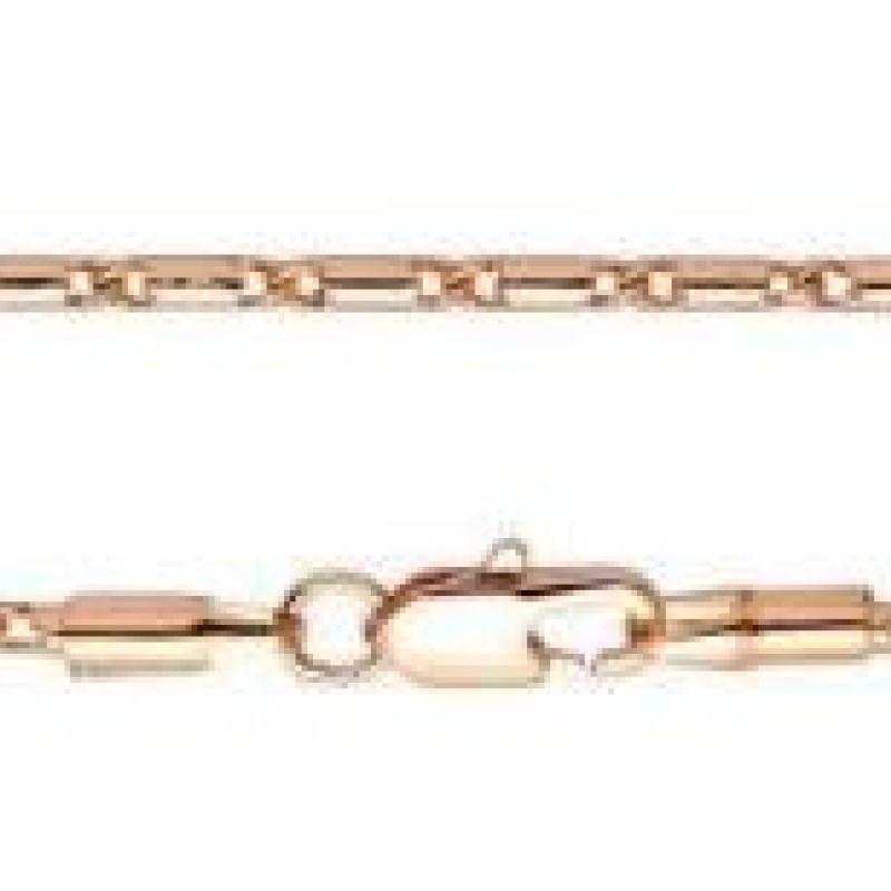 Apzeltītā ķēdīte Masīvā cilindriska gliemežvāka posmu virkne