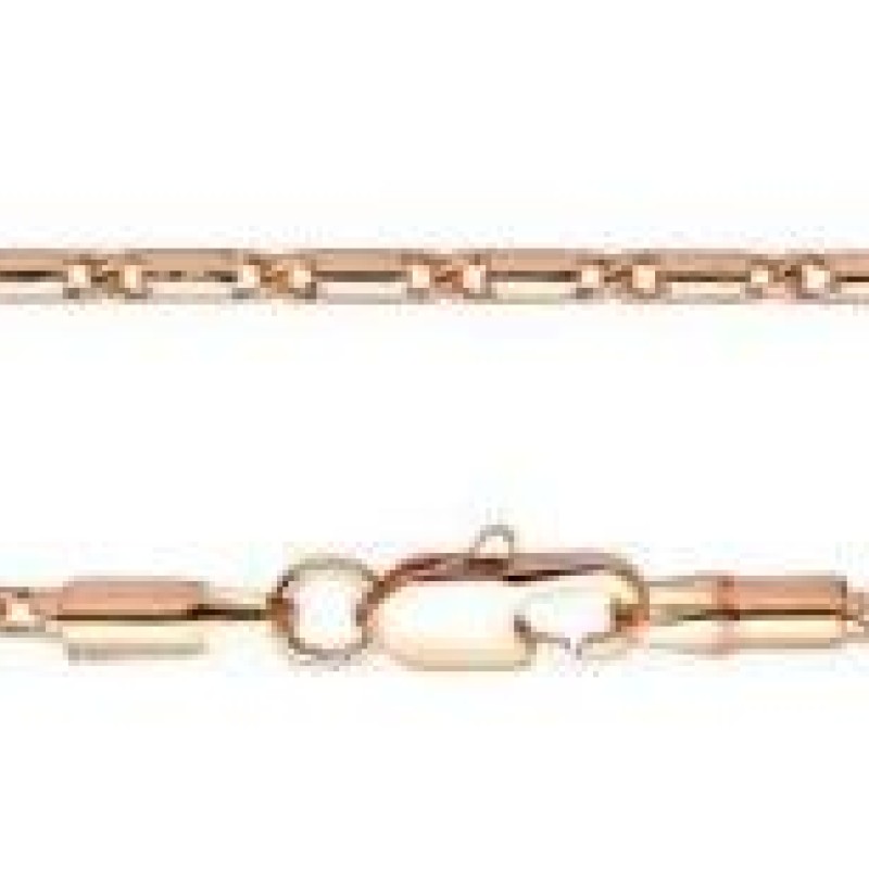 Apzeltītā ķēdīte Masīvā cilindriska gliemežvāka posmu virkne