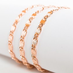 Apzeltītā ķēdīte Klasiskā saplacinātu gliemežu posmu virkne