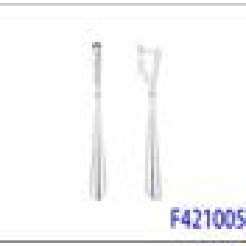 Auskari ar rodija pārklājumu