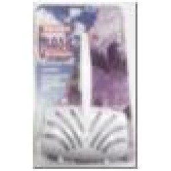 Ciets atsvaidzinošs tīrītājs tualetes podam REINEX WC-Duftspüler LAVENDEL 40g. (lavandas smarža) blī