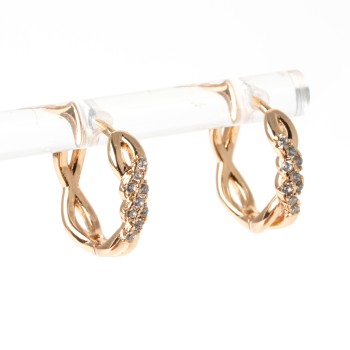 Apzeltīti auskari riņķi