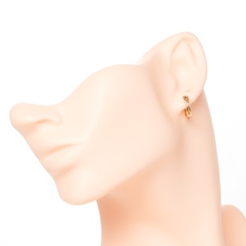 Apzeltīti auskari riņķi