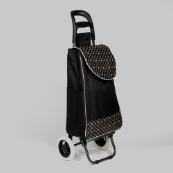 Iepirkumu soma ar 2 riteņiem