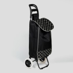 Iepirkumu soma ar 2 riteņiem