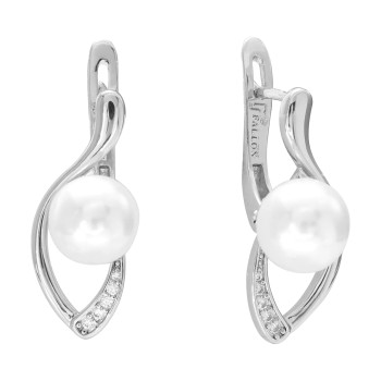 Auskari ar rodija pārklājumu