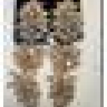 Auskari dekoratīvie