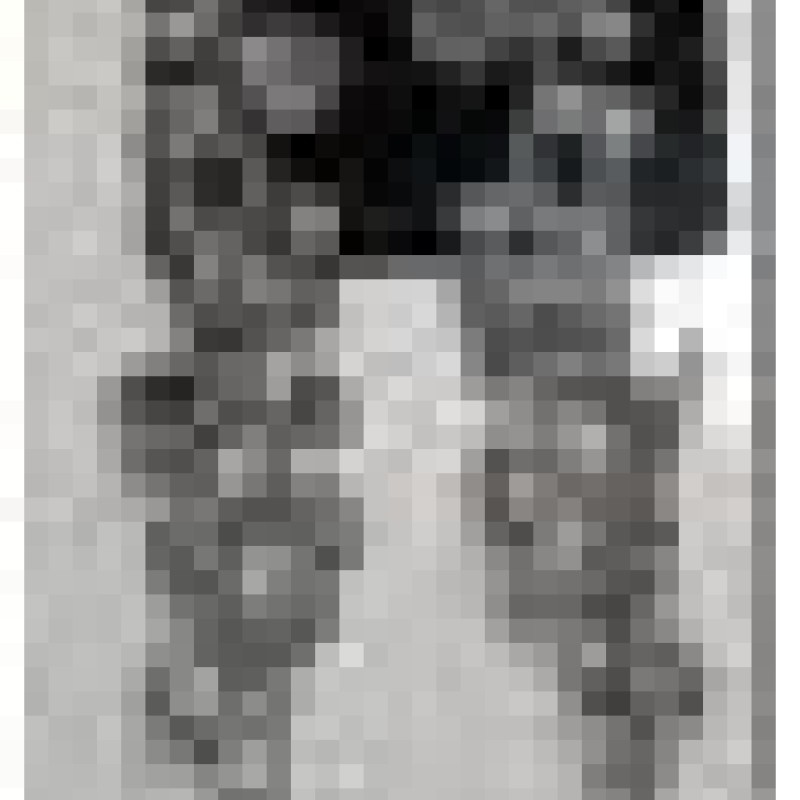 Auskari dekoratīvie