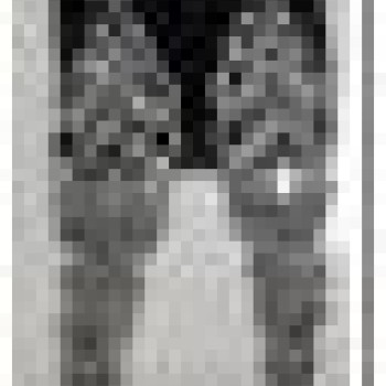 Auskari dekoratīvie