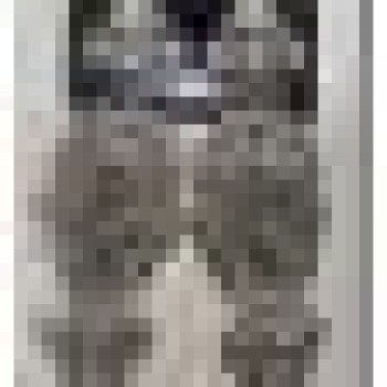 Auskari dekoratīvie