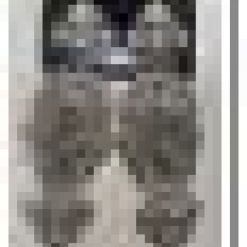 Auskari dekoratīvie