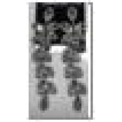 Auskari dekoratīvie