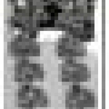 Auskari dekoratīvie