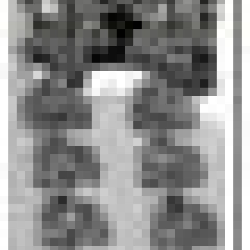 Auskari dekoratīvie