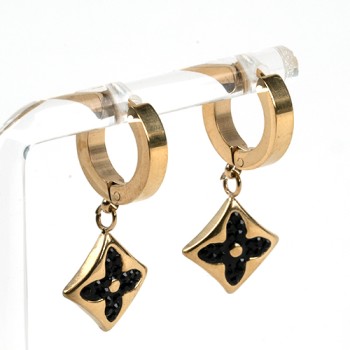 Nerūsējošā tērauda auskari