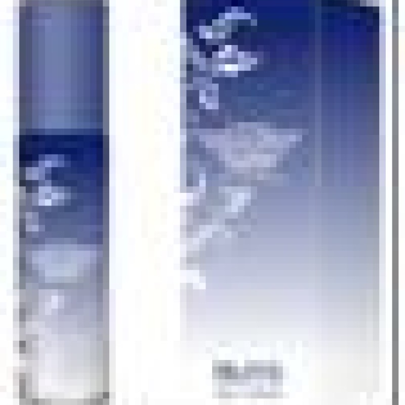 Smaržūdens Parf.Bl.Onyx 100ml Raindance Figures sieviešu