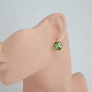 SWAROWSKI auskari apzeltīti