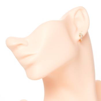 Apzeltīti auskari riņķi