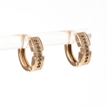 Apzeltīti auskari riņķi