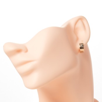 Apzeltīti auskari riņķi