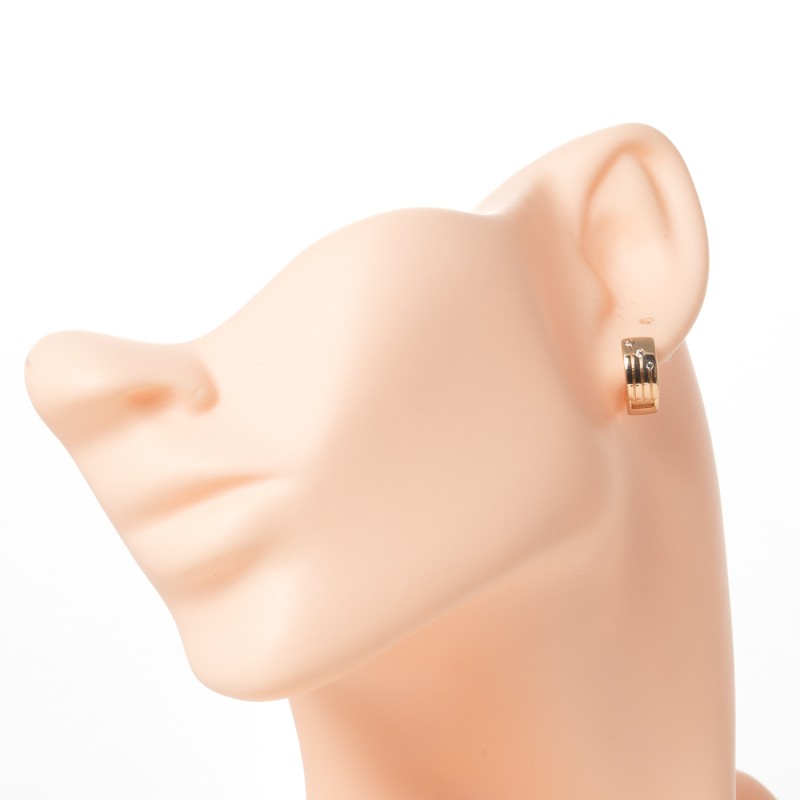 Apzeltīti auskari riņķi