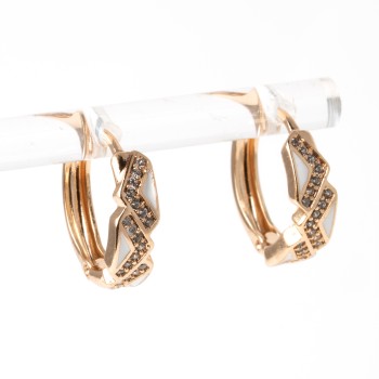 Apzeltīti auskari riņķi