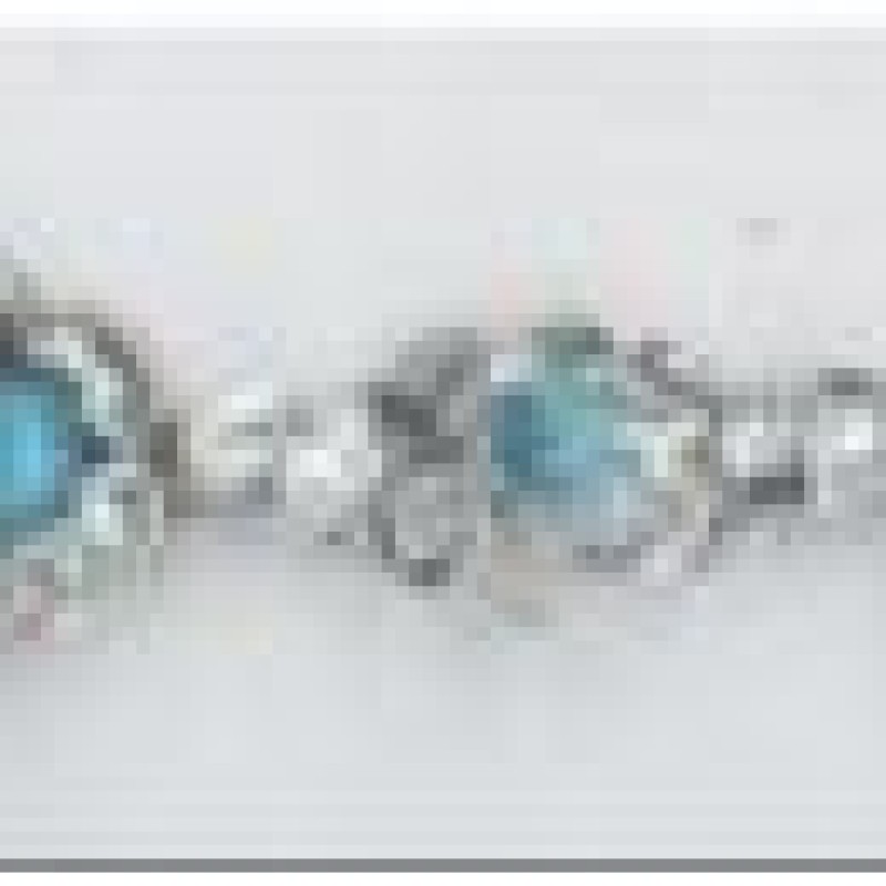 Rokassprādze ar rodija pārklājumu