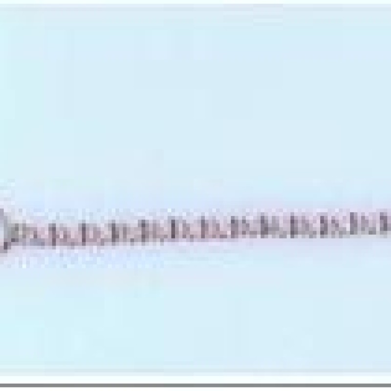 Apzeltīta rokassprādze Īpaši plānu gliemežu posmu virkne