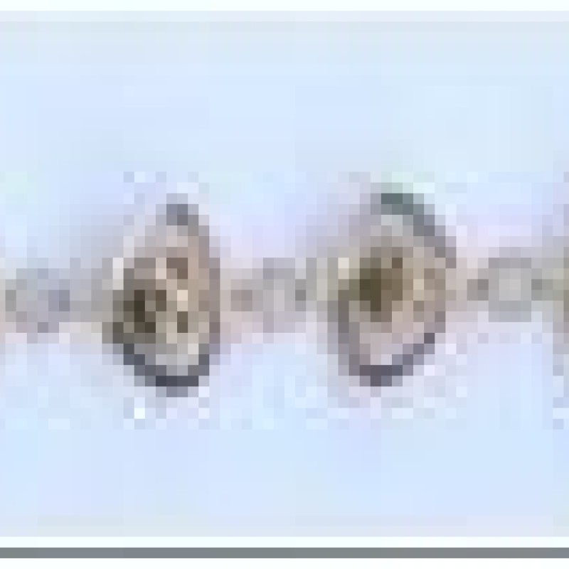 Apzeltīta rokassprādze