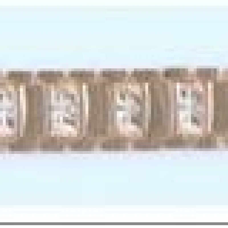 Apzeltīta rokassprādze 2 viedu posmu virkne