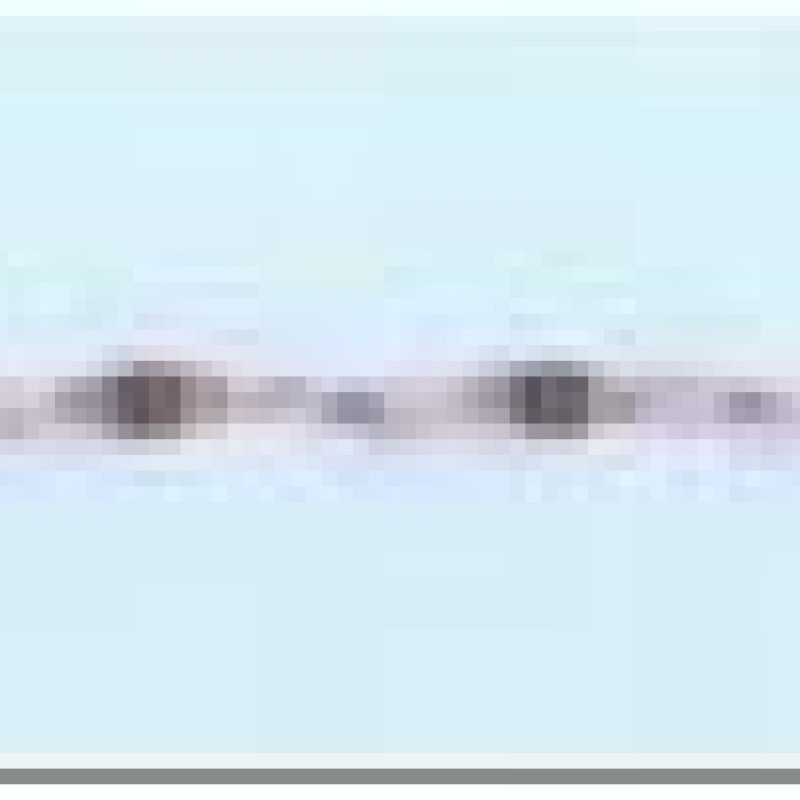 Apzeltīta rokassprādze